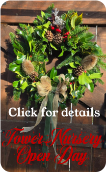 Tower  Nursery  Open Day Click for details